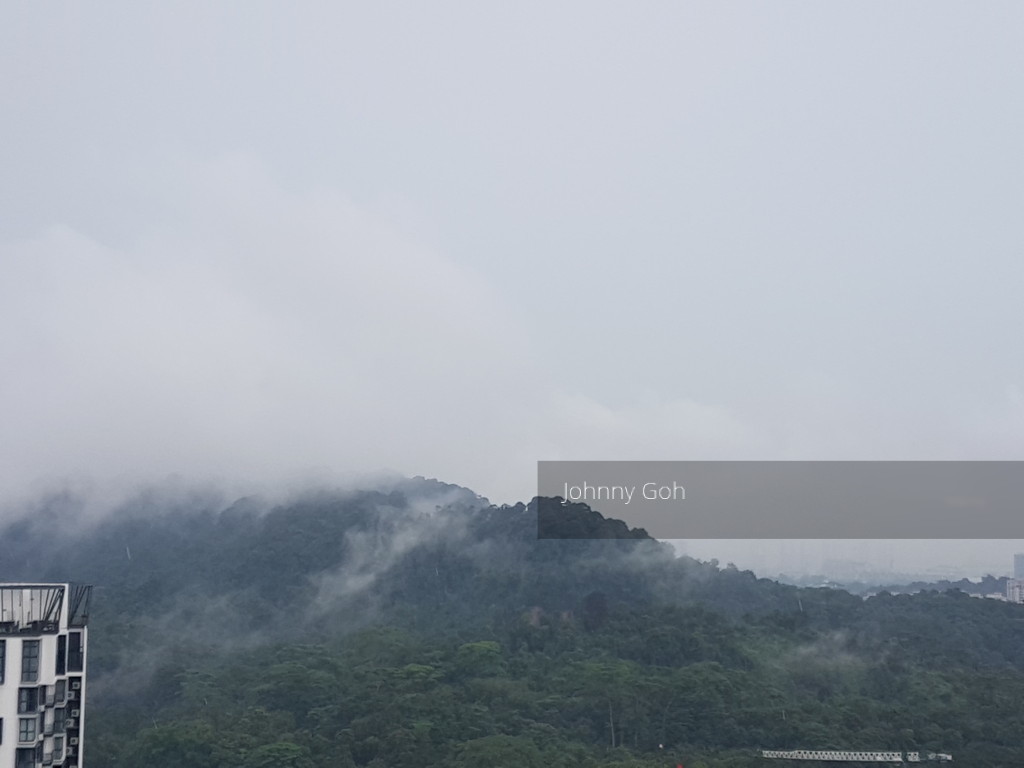 Eco Sanctuary (D23), Condominium #142679792